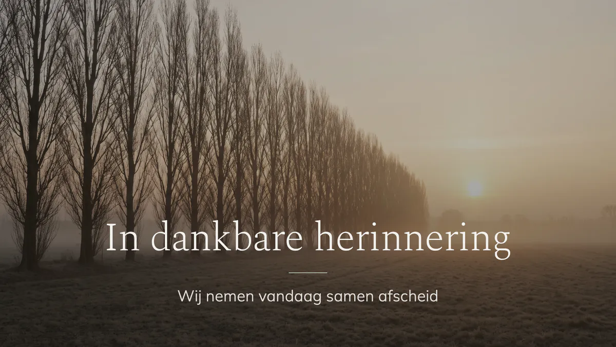Scherm in de aula met een rij populieren in de ochtendmist en de woorden In dankbare herinnering