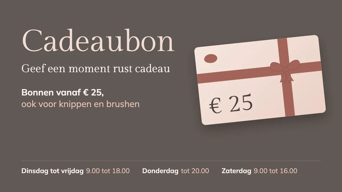 Scherm met een cadeaubon vanaf € 25, ook voor knippen en brushen, en de openingsuren met een late avond op donderdag